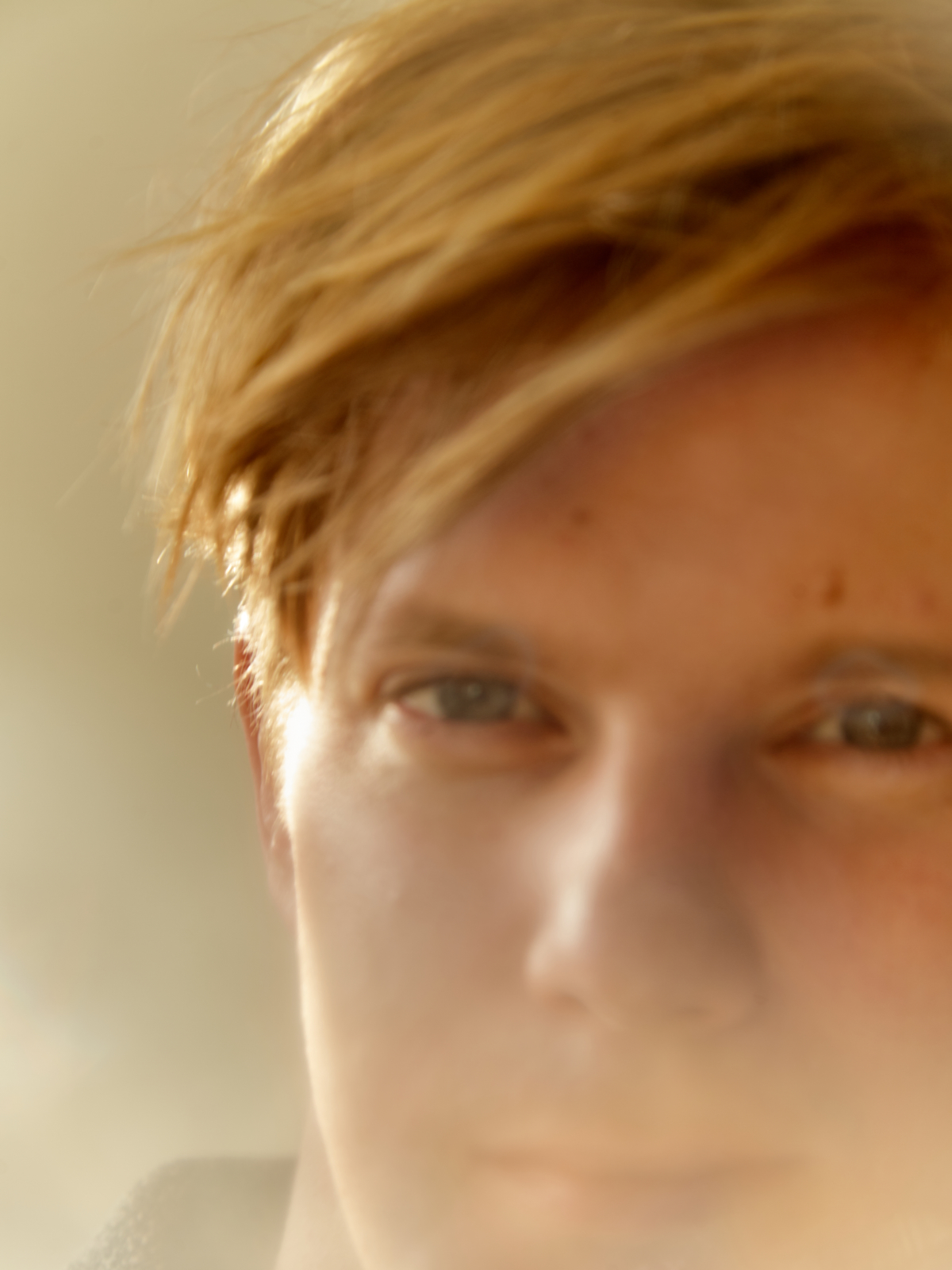 JOOST_DE_VRIES_preview