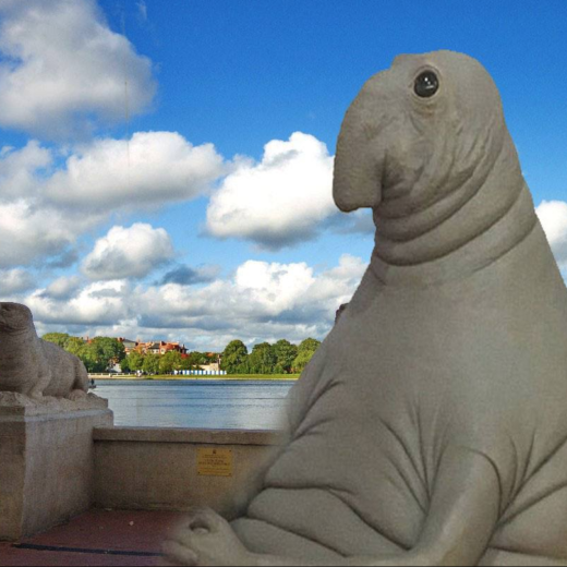 Deze Hollandse creatuur verovert de wachtende Rus