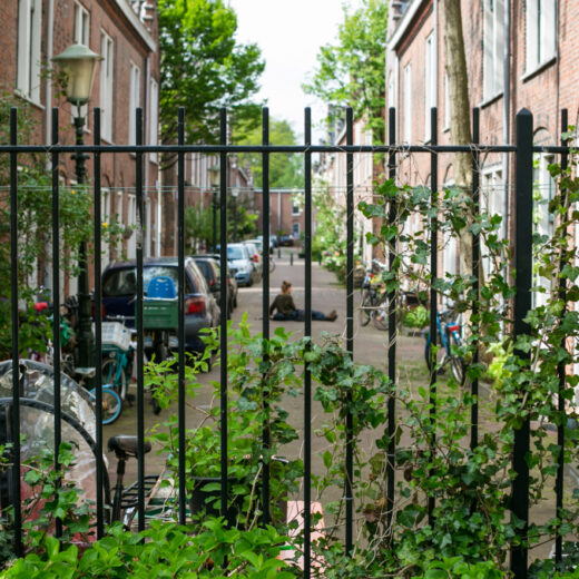Het Schilderswijkse hofje waar de diversiteit nooit doordrong