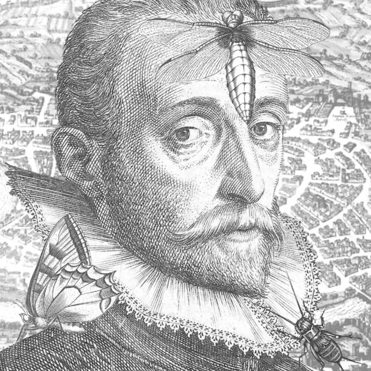 Literaire Kroniek: Met kunst en natuur je verzetten tegen religieuze zeloten