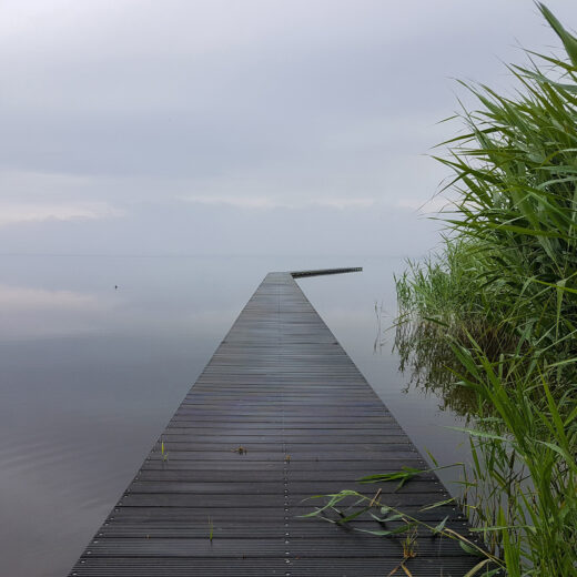Leve het verzuim! Een pleidooi voor spijbelen