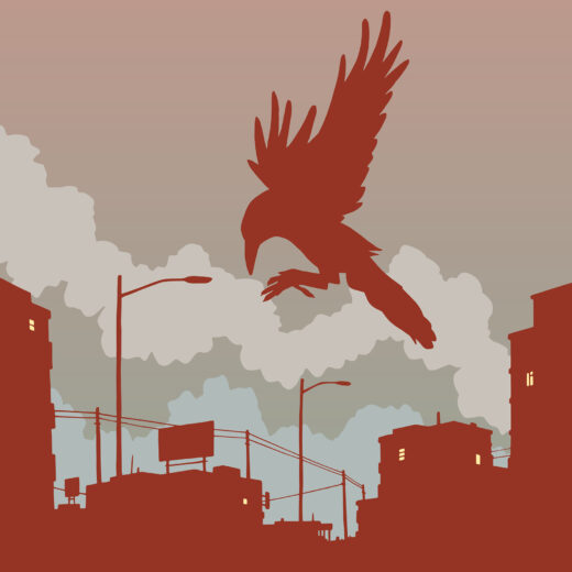 Hoe kraaien ons de wereld beter doen begrijpen