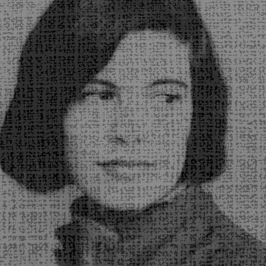 Literaire Kroniek: Susan Sontag, van buiten zelfverzekerd, van binnen een en al onzekerheid
