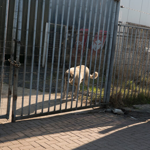 Fotodocument: Narcostaat Nederland in kaart gebracht