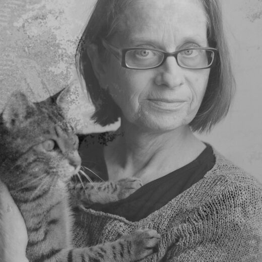 Literaire Kroniek: In de werkplaats van Lydia Davis, taalkundig timmerman
