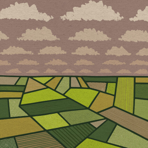 Reconstructie: Hoe de boeren hun macht zagen verwelken