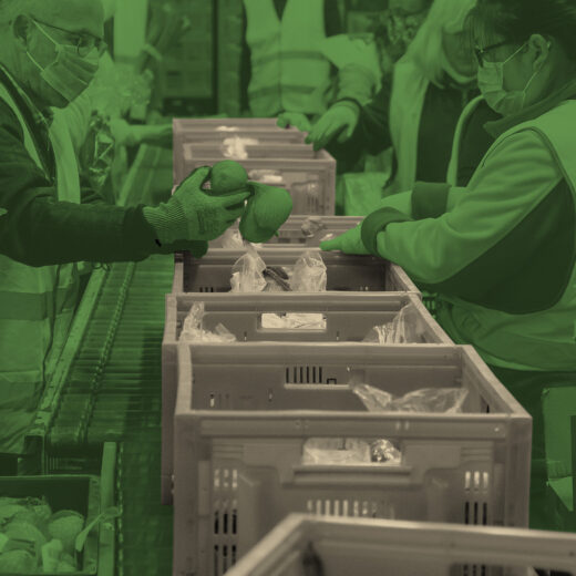 Welk probleem lossen we eigenlijk op met economische groei?
