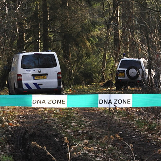 Waarom het woord 'ras' uit de wet moet worden gehaald