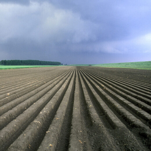 ‘De Nederlandse natuur is een grote grijze gehaktbal,’ zegt Ben ten Brink, oud-onderzoeker van het PBL