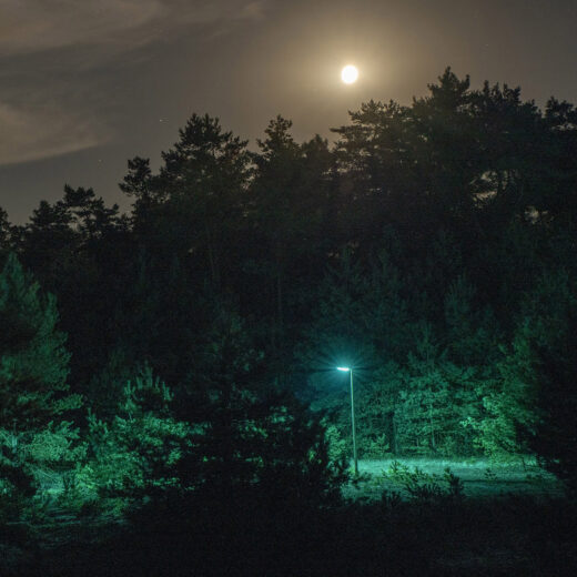 Altijd het licht aan: waarom het erg is dat het nooit meer helemaal donker is