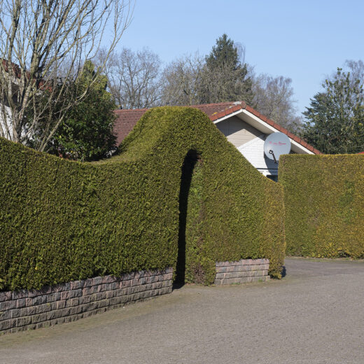 Kunnen gemeenten de verantwoordelijkheden van de Omgevingswet wel dragen?