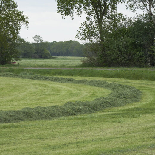 Hoe burgers boeren helpen de landbouw natuurvriendelijker maken