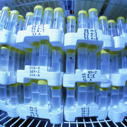 Genetica is het fundament van de gepersonaliseerde geneeskunde