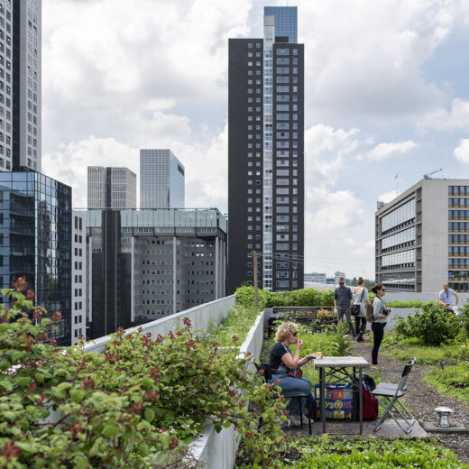 Er komt meer kijken bij een groene stad dan een paar bomen planten