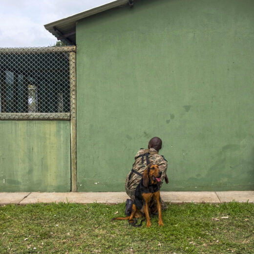 In Zuid-Afrikaanse wildparken is de apartheid nooit verdwenen