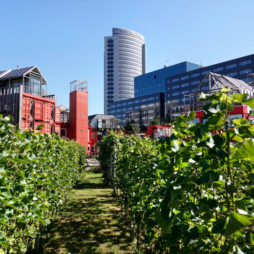 De strijd om de ruimte: ‘Waarom moeten we hier het varkensvlees voor China produceren?’
