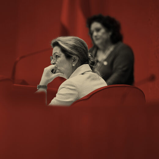 Eindelijk dringt de redelijkheid door in het stikstofdebat