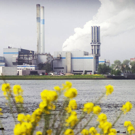 Hoe klimaatverandering het socialisme nieuw leven inblaast