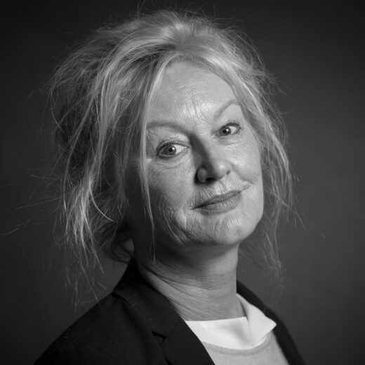 Literaire Kroniek: Joke Hermsens jacht op inzicht