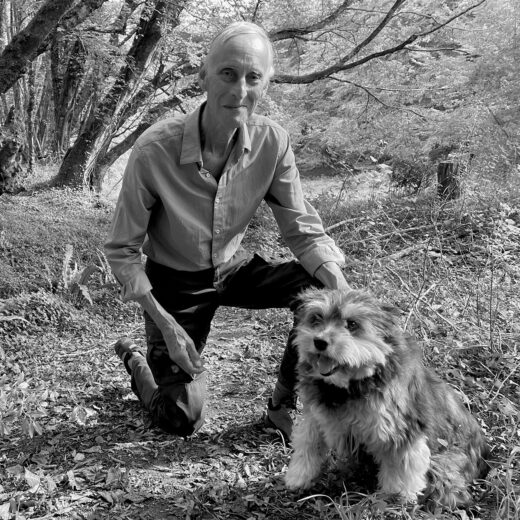 Literaire Kroniek: Het kan geen kwaad om jezelf een beetje in bomen te verplaatsen