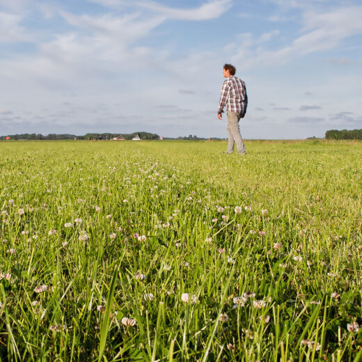 Een goed alternatief voor intensieve landbouw en veeteelt bestaat al lang