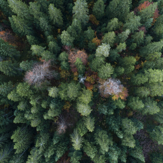 Hoe de Natuurherstelwet de speelbal werd van de grootste lobby in Europa 