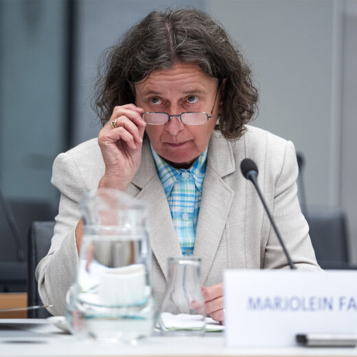 De troebele visvijver van Marjolein Faber