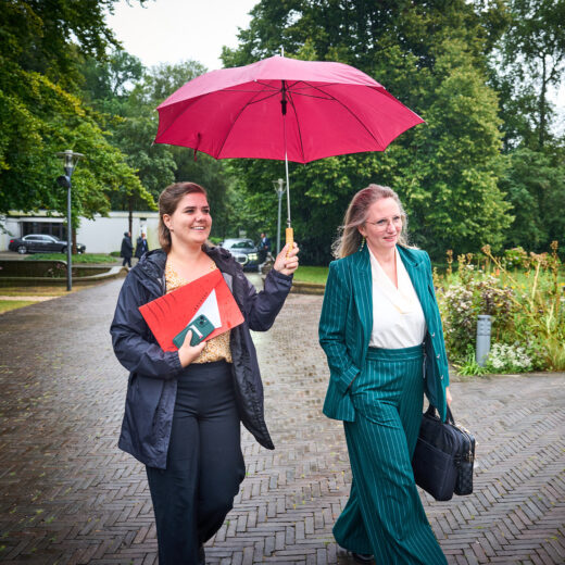 Het zomerreces als politiek voorgeborchte