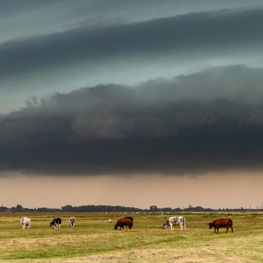 Verslaafd aan regen, wolken en winters