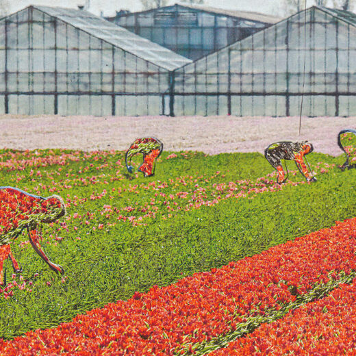 Wat als alle arbeidsmigranten plots vertrekken?